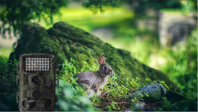 Wild Hunting Camera – Motion-Activated Trail Camera with HD Night Vision for Wildlife Monitoring