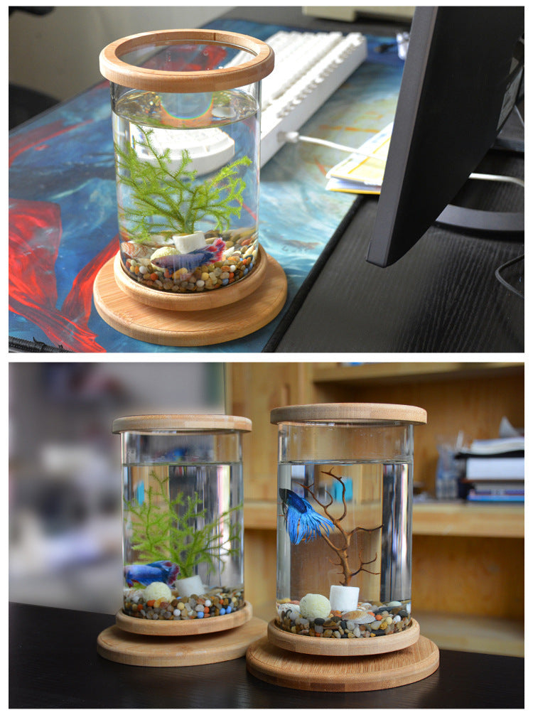 Premium Mini Glass Aquarium with Natural Bamboo Base - Desktop Fish Tank for Home & Office Decor