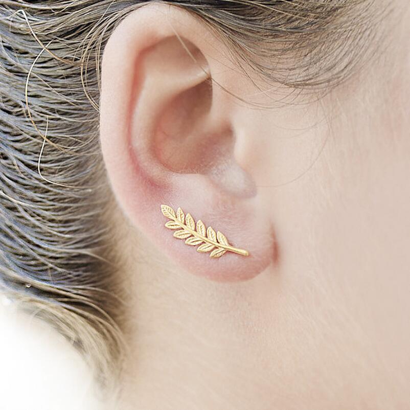 Natural Landscape Mountain Ear Climber Earrings - Trekking & Geography Jewelry
