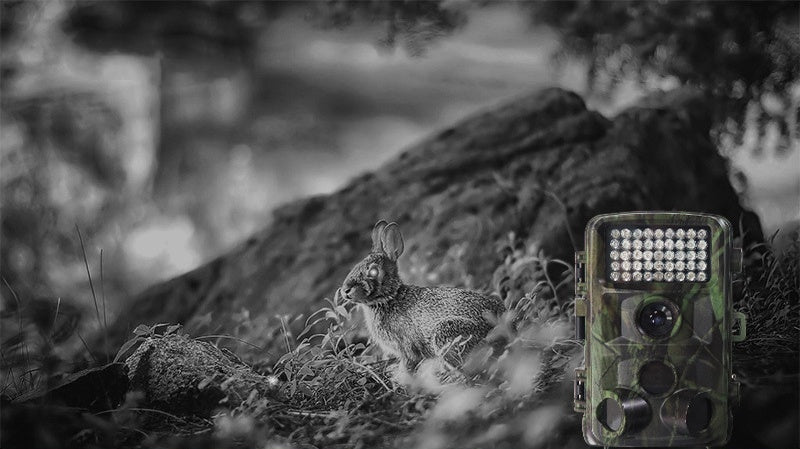 Wild Hunting Camera – Motion-Activated Trail Camera with HD Night Vision for Wildlife Monitoring