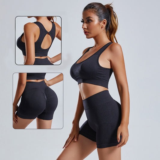 2pcs Yoga Set for Women – Seamless Vest and High Waist Shorts Tracksuit for Workout & Fitness