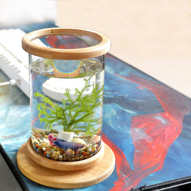 Premium Mini Glass Aquarium with Natural Bamboo Base - Desktop Fish Tank for Home & Office Decor