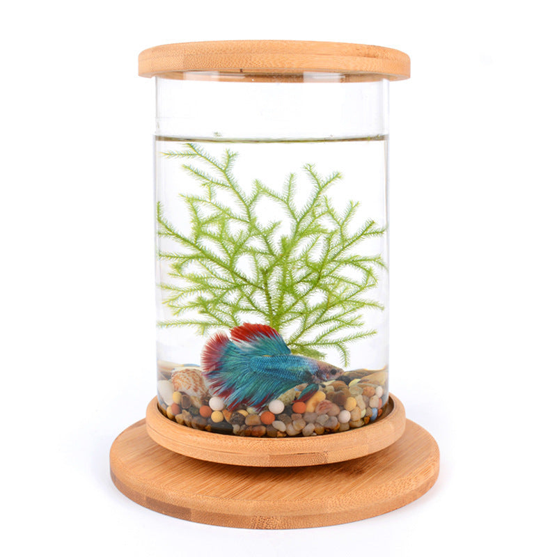 Premium Mini Glass Aquarium with Natural Bamboo Base - Desktop Fish Tank for Home & Office Decor