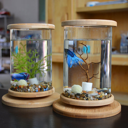 Premium Mini Glass Aquarium with Natural Bamboo Base - Desktop Fish Tank for Home & Office Decor