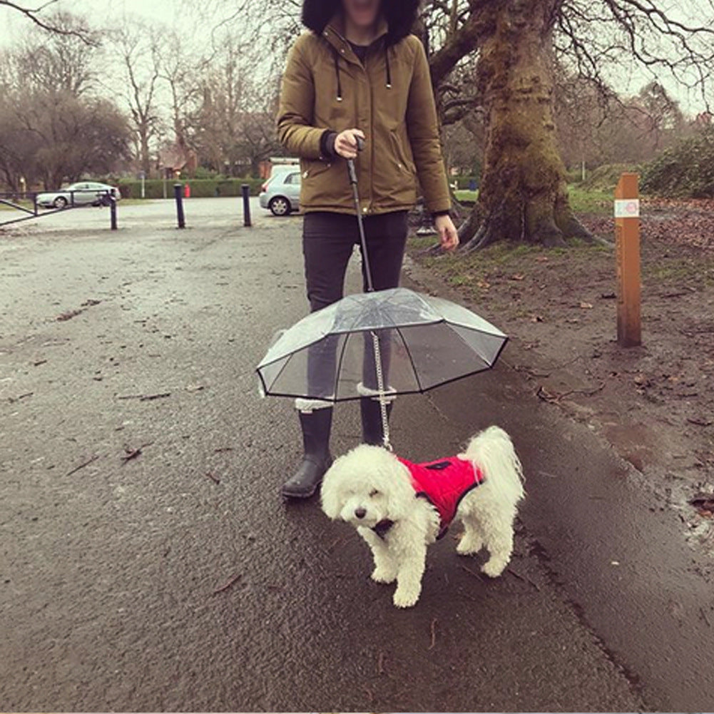 Premium Transparent Dog Umbrella with Leash - All-Weather Protection System for Rainy Day Walks