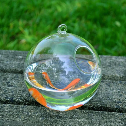 Premium Hanging Glass Aquarium - Modern Spherical Fish Tank & Plant Terrarium with Stand Options
