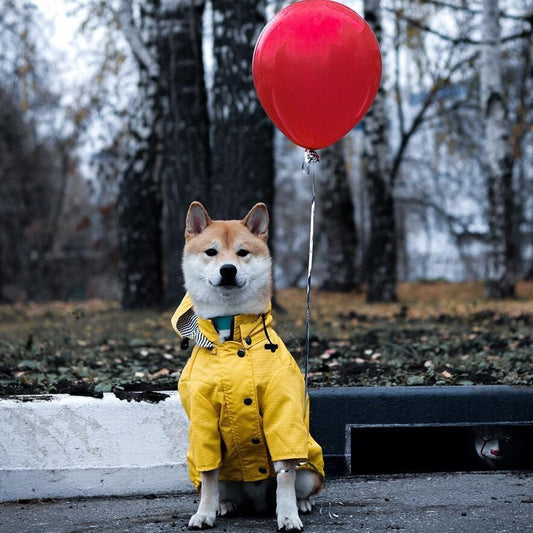 Premium Waterproof Dog Raincoat - Lightweight Weather Protection for All Seasons