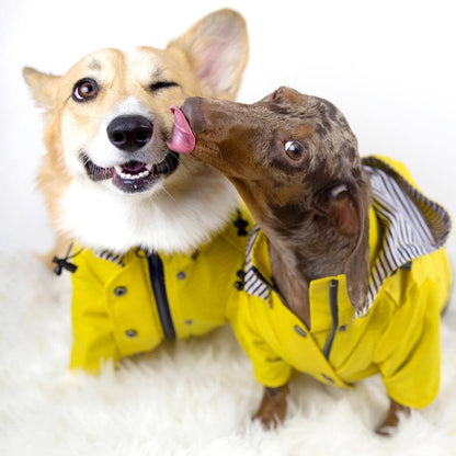 Premium Waterproof Dog Raincoat - Lightweight Weather Protection for All Seasons