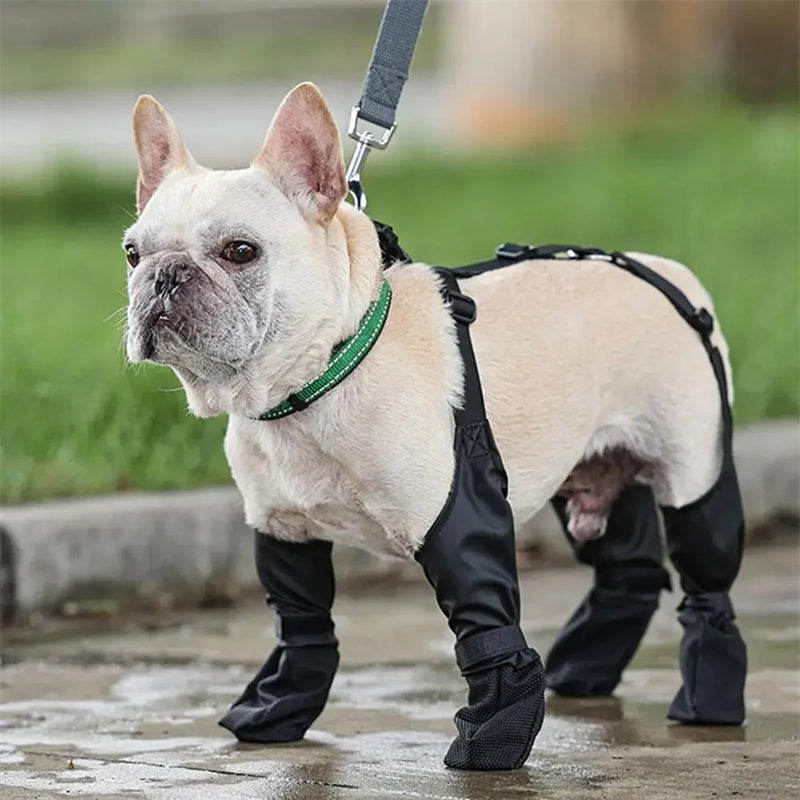 Premium Waterproof Dog Boots - Breathable Paw Protection for All-Weather Adventures