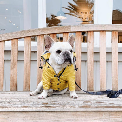 Premium Waterproof Dog Raincoat - Lightweight Weather Protection for All Seasons