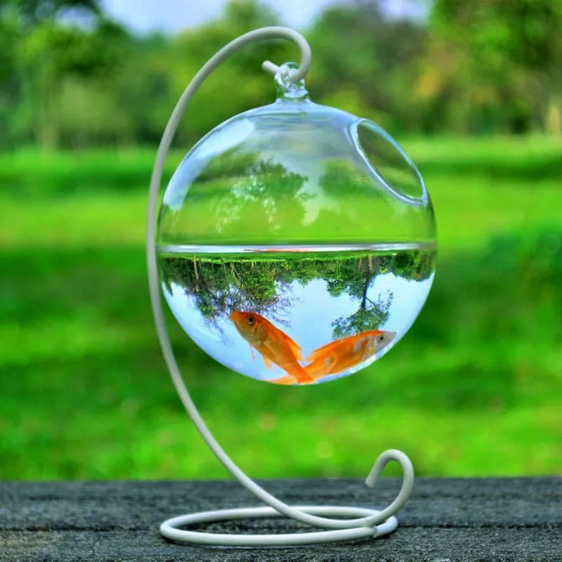 Premium Hanging Glass Aquarium - Modern Spherical Fish Tank & Plant Terrarium with Stand Options