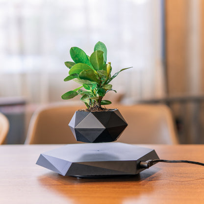 Premium Magnetic Levitating Plant Pot - Floating Air Planter with Advanced Levitation Technology for Modern Spaces