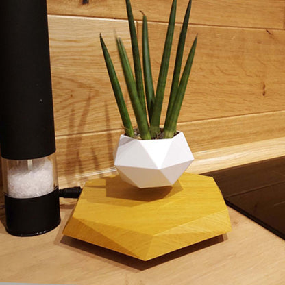 Premium Magnetic Levitating Plant Pot - Floating Air Planter with Advanced Levitation Technology for Modern Spaces