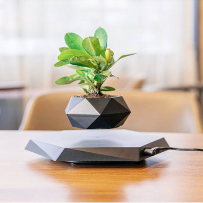 Premium Magnetic Levitating Plant Pot - Floating Air Planter with Advanced Levitation Technology for Modern Spaces