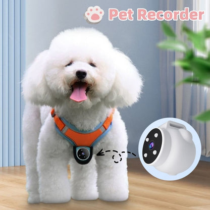 Premium Pet Camera Collar - HD Video Recording & GPS Tracking for Dogs & Cats
